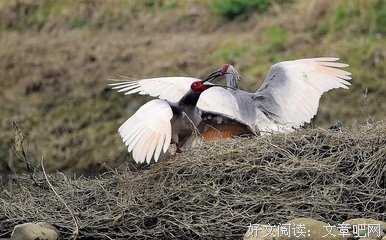争吵