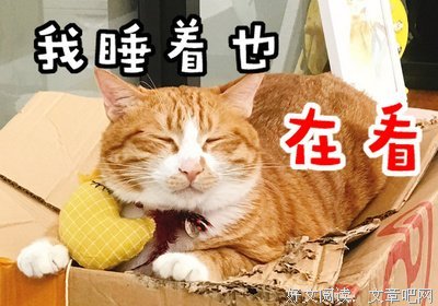 给我奶茶，就不哭