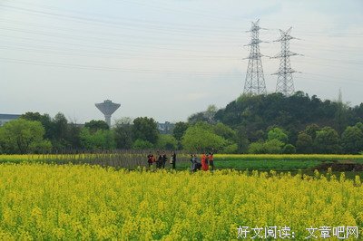 八卦田