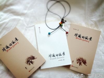 嫖客诗人