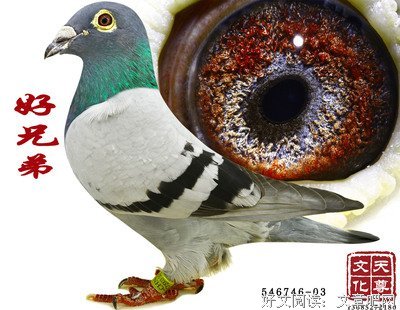 好兄弟
