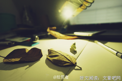那两片叶子