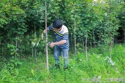 种故乡
