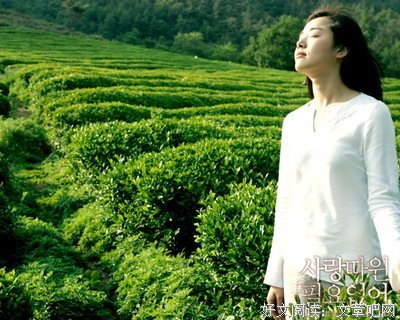 不需要爱情