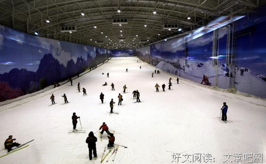 熊一次约会