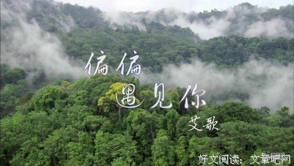 遇见你