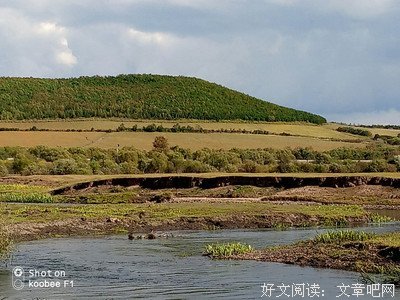 平淡如水