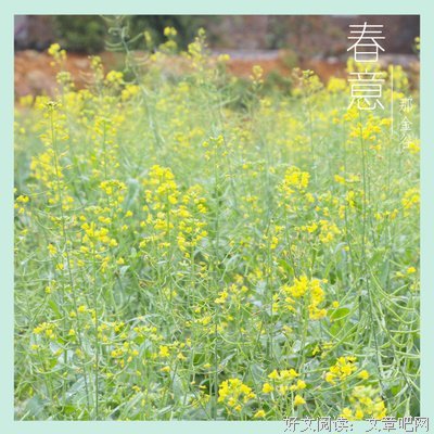 【1+1＞2】春暖花开 益暖金谷