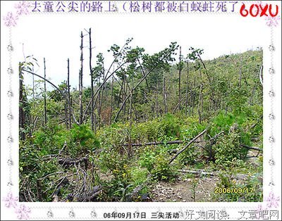 我们也曾这样一起走过