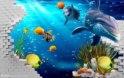 大海和小鱼