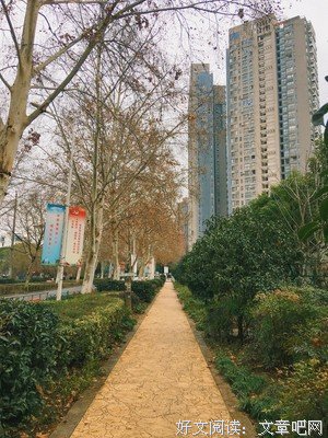 蓄谋已久