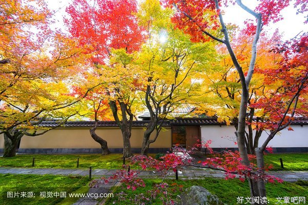 棃洛小院