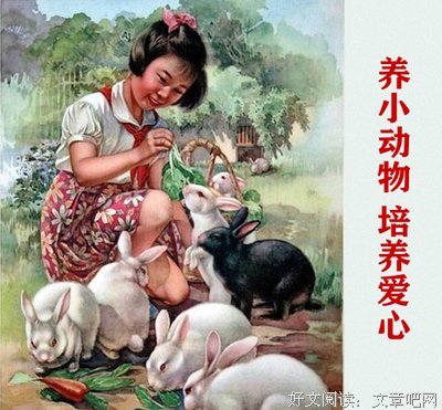 啊狗