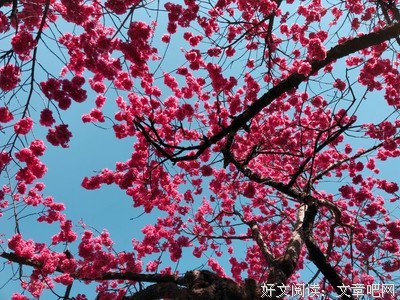 我活在当下