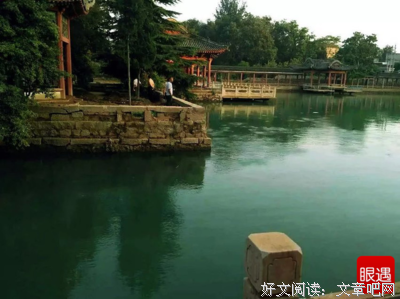 半亩时光