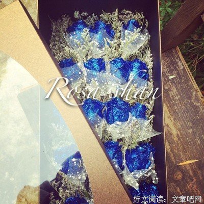 恰逢花开
