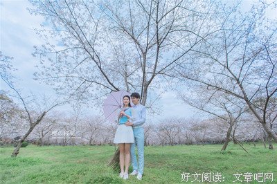 樱花草