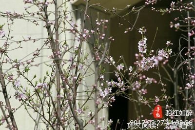 却给了我整个春天