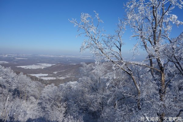 初雪
