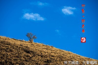 洗尽清风