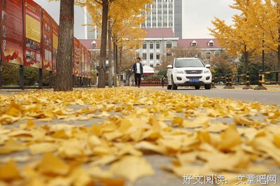 北方的秋