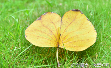 忠贞