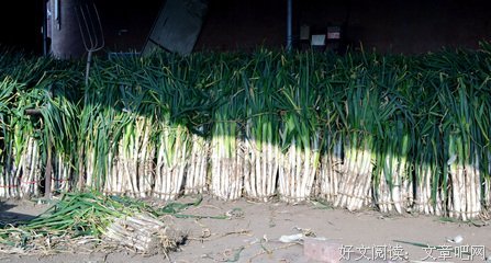 卖大葱记