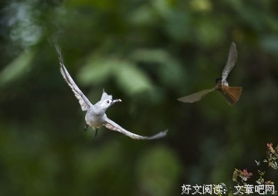 擦肩而过