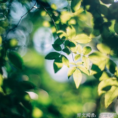夏末