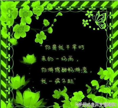 凉人的茶