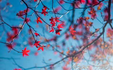 嫁给姓丁的