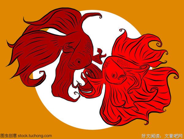 暹罗鱼