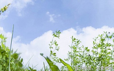 害怕单身