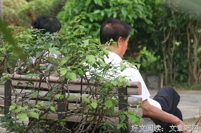 无处安放的爱