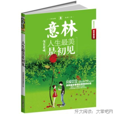 最美初见少年时