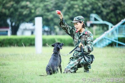 冯苟的狗