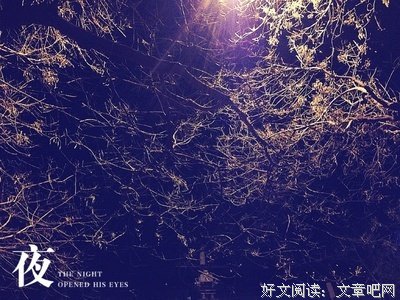 昨夜的梦