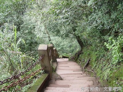 青青山上松