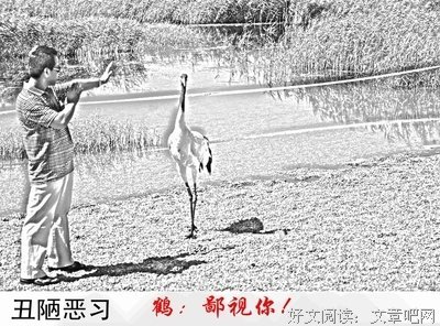 美丽的丑陋