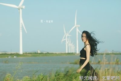 来年风起时
