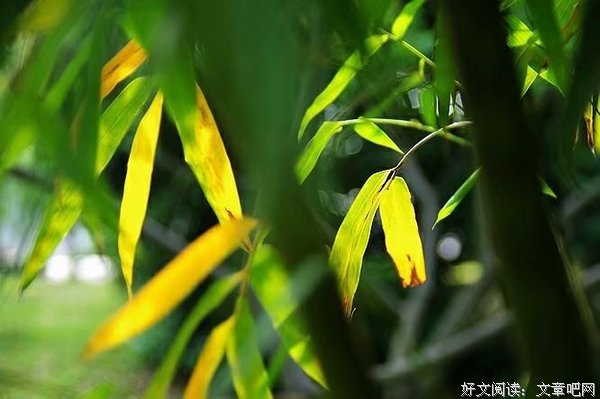 心若放宽，便是晴天。