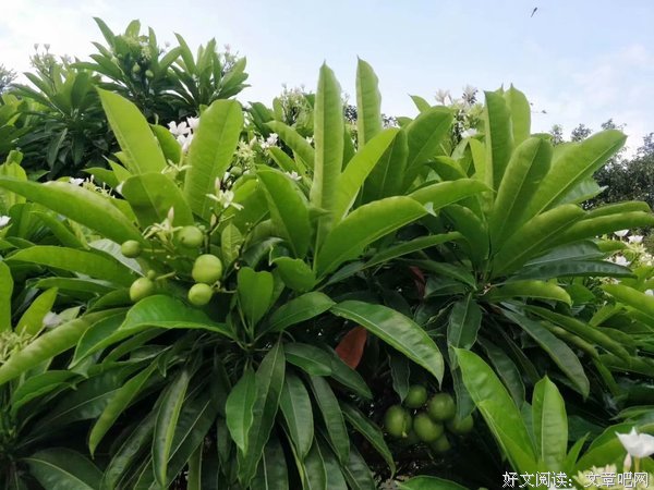 生活都不易