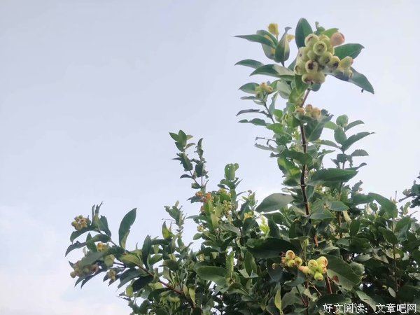 不知悔改，弄伤的是自己