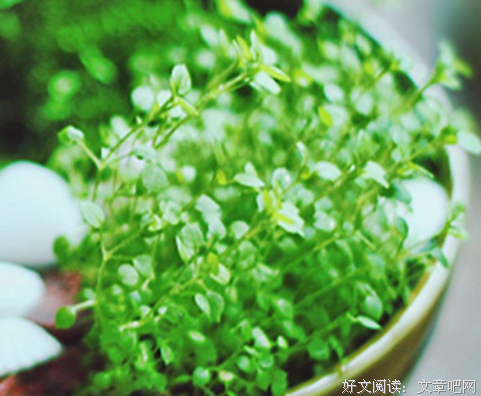 举手之劳