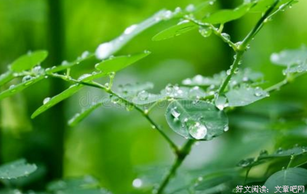 雨季