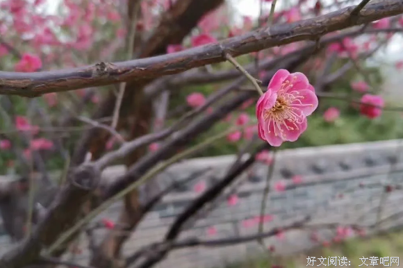 不一样的意义