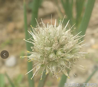 不要小瞧每份劳力的付出