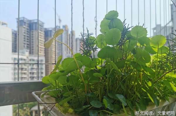 弥补这份爱