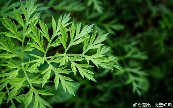  努力，就会遇到更好的自己