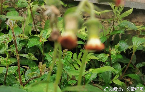 不能让人习惯你的低姿势